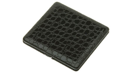 купите Портсигар S.Quire CP11A00-12 в Севастополе